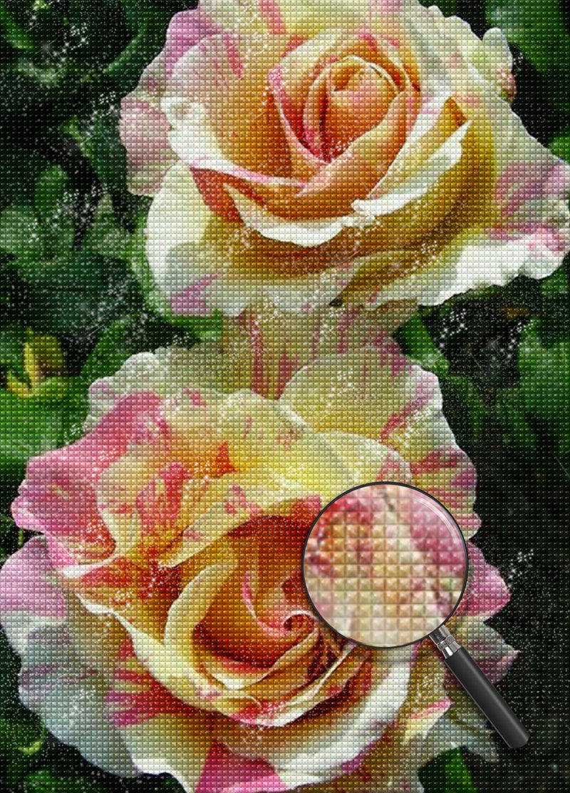 Two Multicolored Roses 5D DIY Diamond Painting Kits