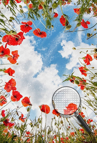 Red Poppies and the Sky 5D DIY Diamond Painting Kits