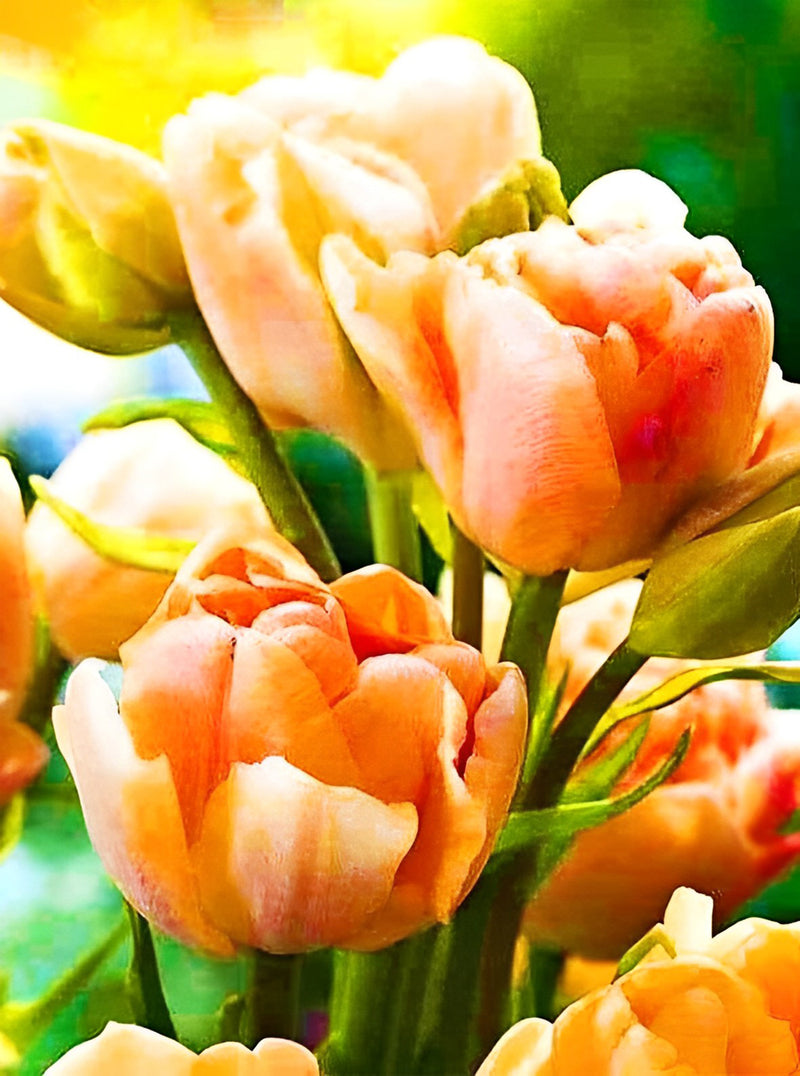 Beautiful Pink-Orange Tulip Diamond Painting