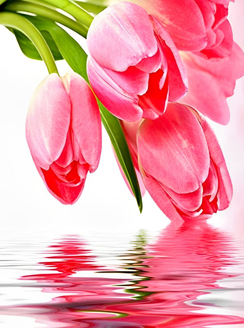Pink Tulips and Water 5D DIY Diamond Painting Kits