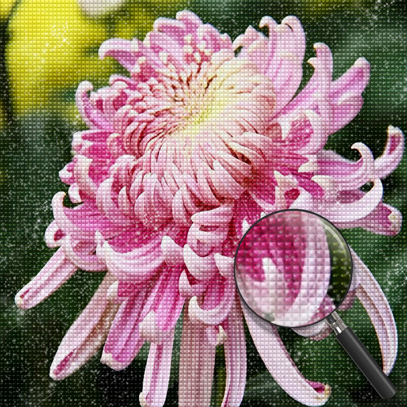 Pink Chrysanthemum 5D DIY Diamond Painting Kits