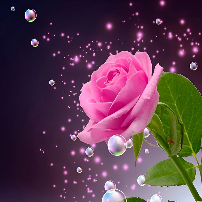Beautiful Rose with Dews 5D DIY Diamond Painting Kits