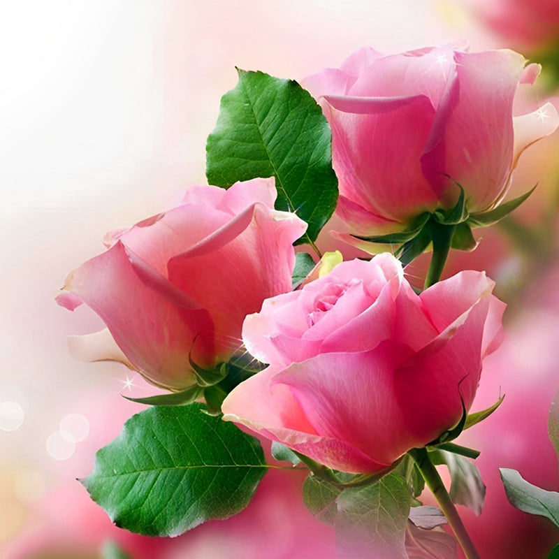 Three Beautiful Roses 5D DIY Diamond Painting Kits