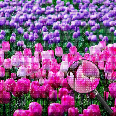 Pink and Purple Tulips 5D DIY Diamond Painting Kits