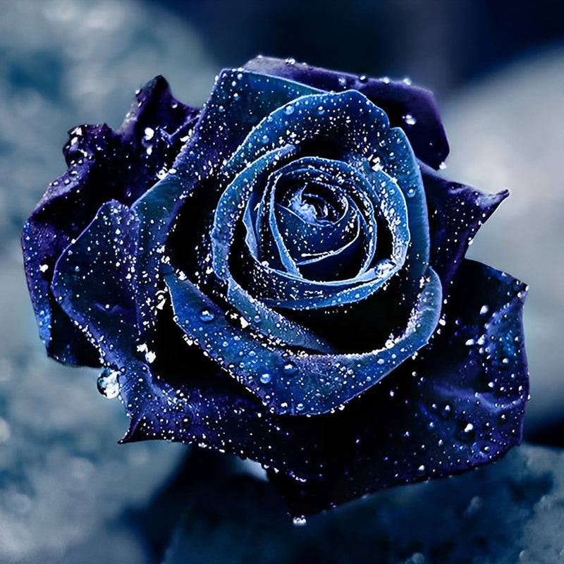 Blue Rose with Dews 5D DIY Diamond Painting Kits