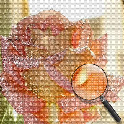Beautiful Pink-Orange Rose Diamond Painting