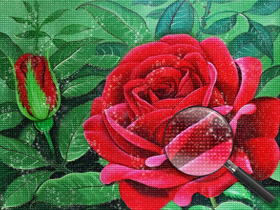 Red Rose and Button 5D DIY Diamond Painting Kits