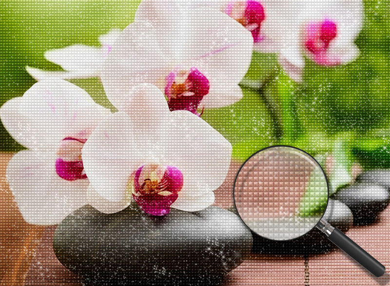 White Orchids 5D DIY Diamond Painting Kits