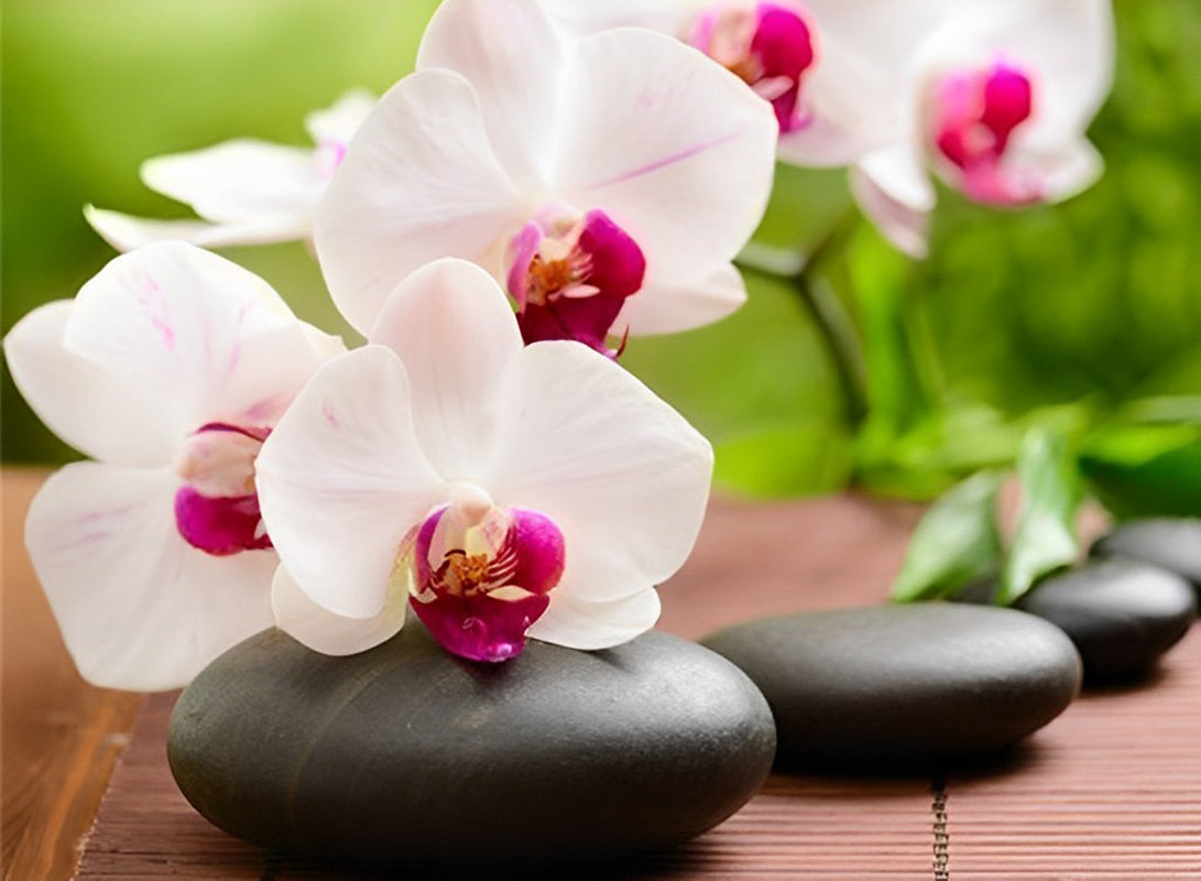 White Orchids Diamond Painting