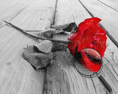 Red Rose on Wood 5D DIY Diamond Painting Kits