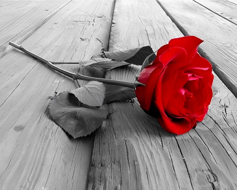 Red Rose on Wood 5D DIY Diamond Painting Kits