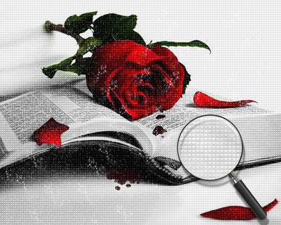 Red Rose and Book 5D DIY Diamond Painting Kits