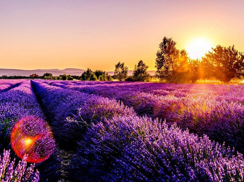 Lavender and Sunset 5D DIY Diamond Painting Kits