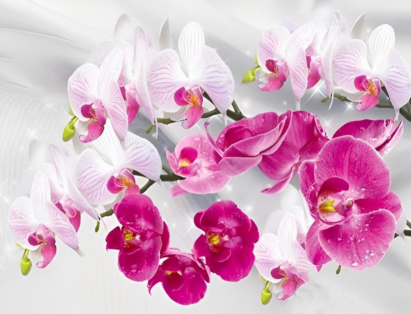 Beautiful Pink Orchids Diamond Painting