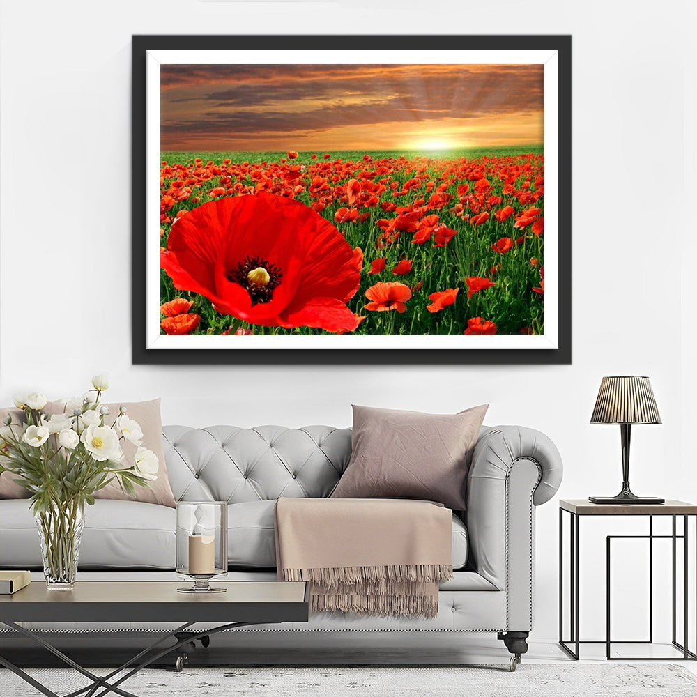 Red Poppies Fields Diamond Painting