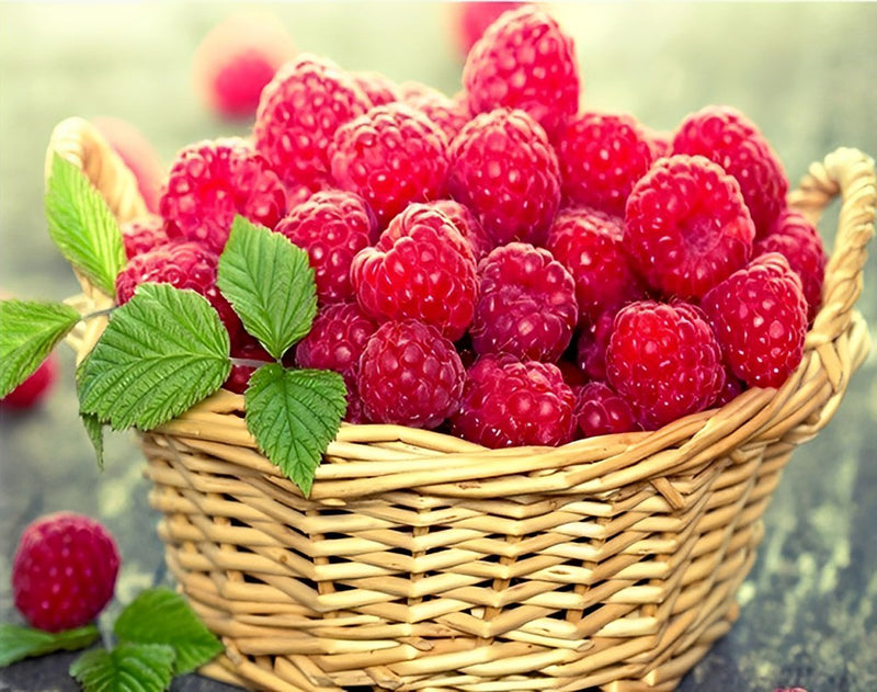 A Basket of Raspberries Diamond Painting