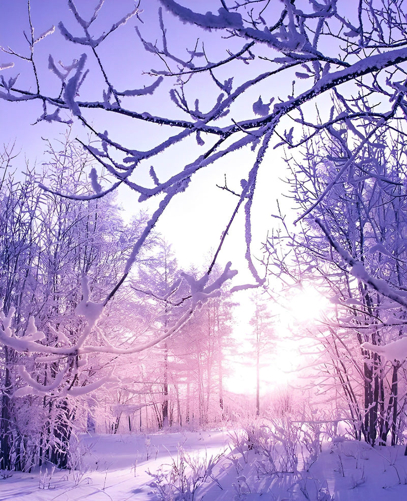 Snow Covered Forest Early Morning 5D DIY Diamond Painting Kits