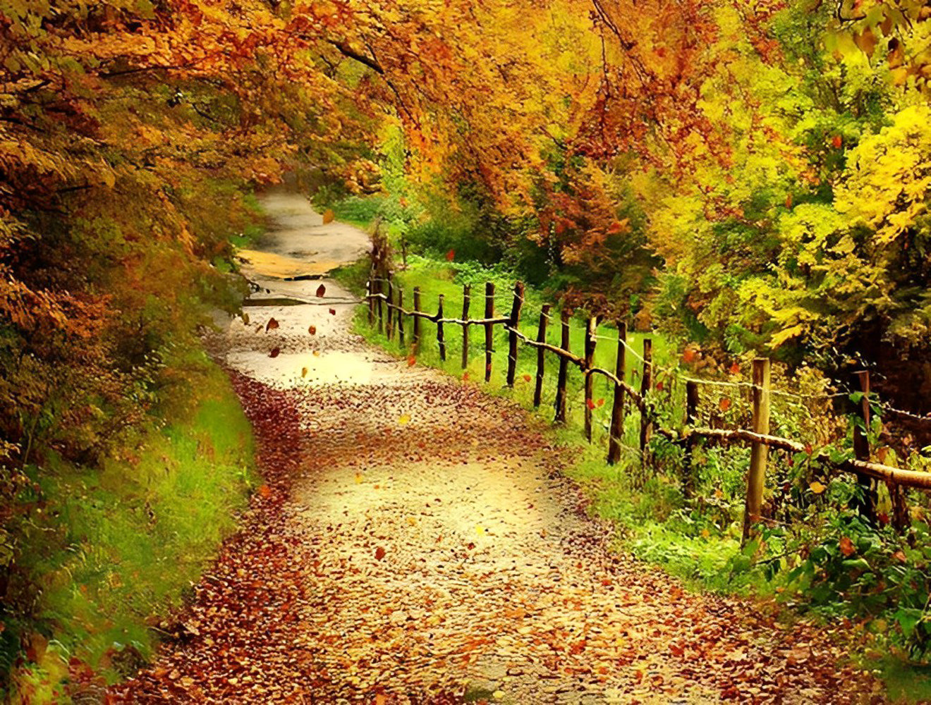 Trail in the Forest Diamond Painting