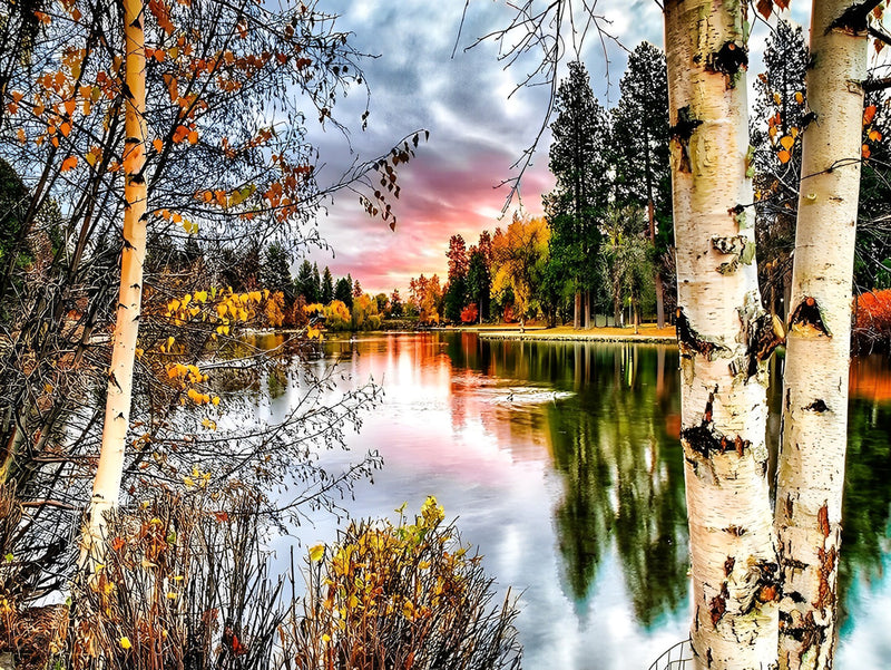 Forest and Lake 5D DIY Diamond Painting Kits