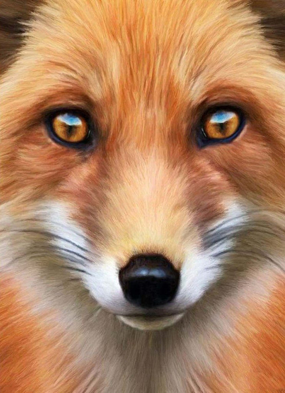 Red Fox with Orange and Black Eyes Diamond Painting