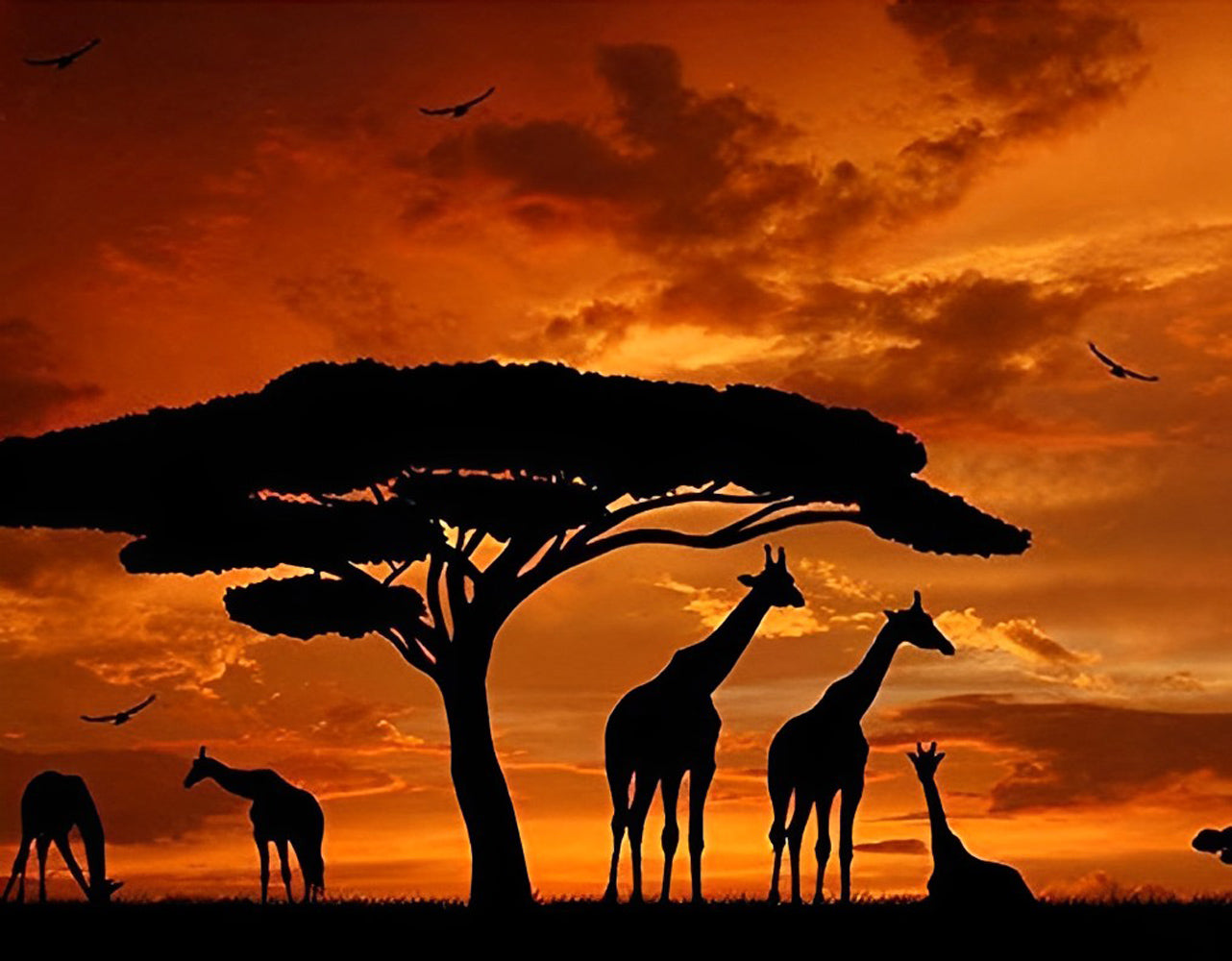 Giraffes and Baobaos with Red Clouds Diamond Painting