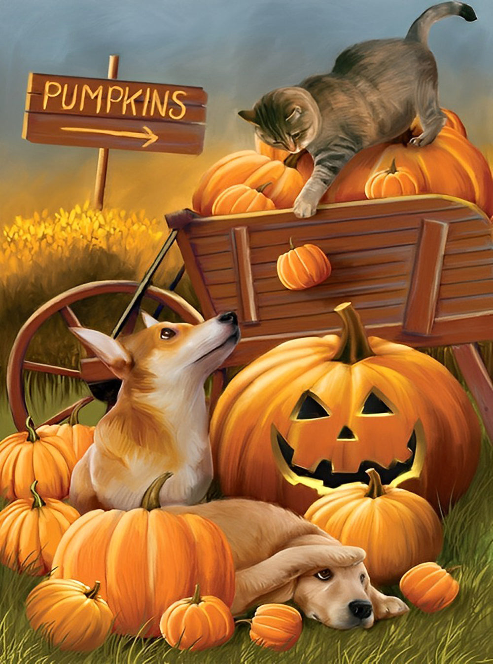 Harvest Pumpkin Diamond Painting