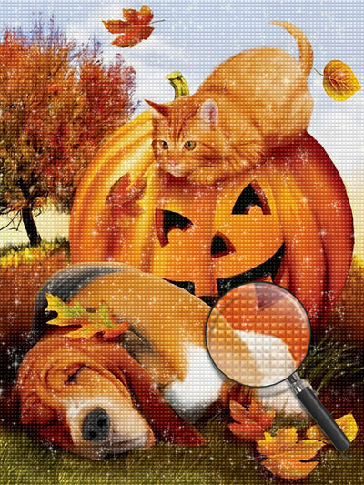 Dog Sleeping near a Halloween Pumpkin Diamond Painting