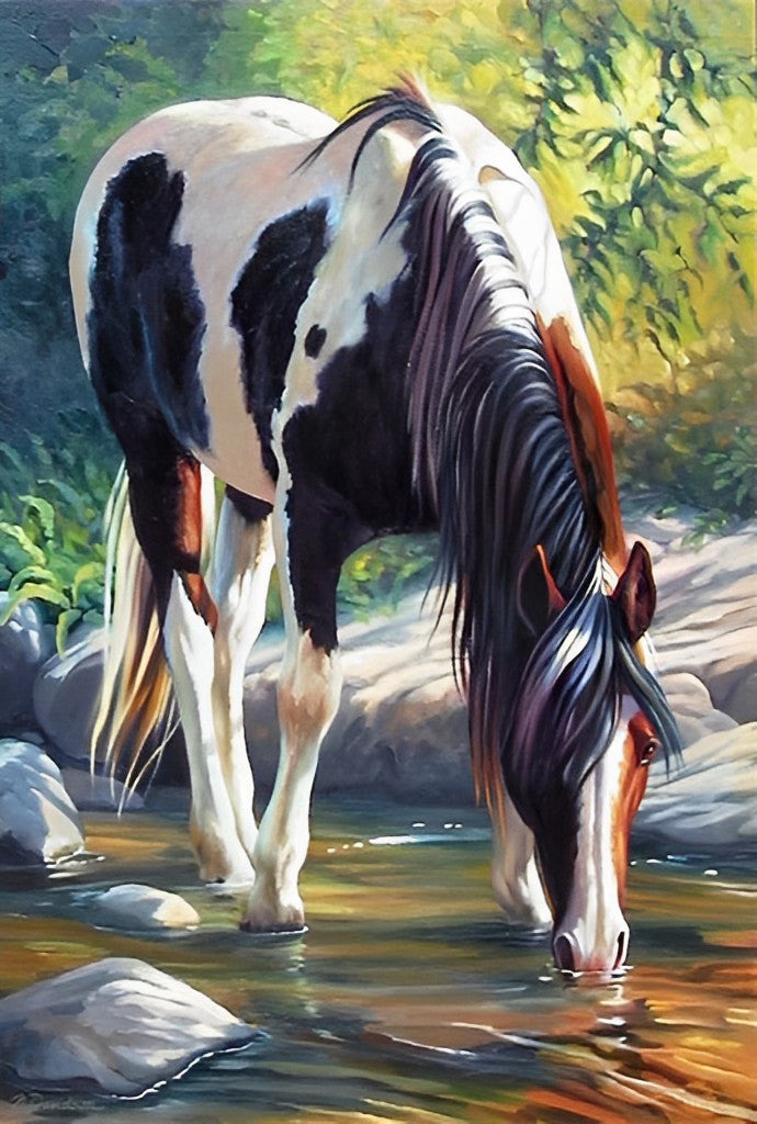 White and Black Horse Drinking Diamond Painting