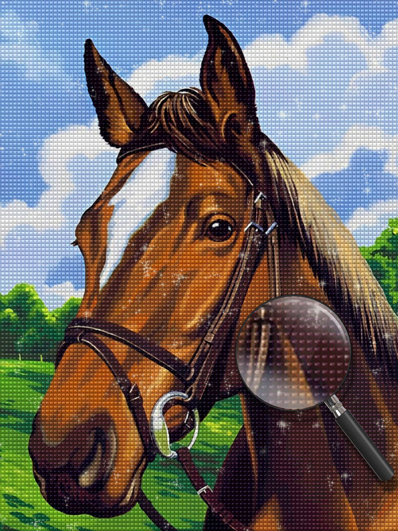 Horse 5D DIY Diamond Painting Kits DPHORH30