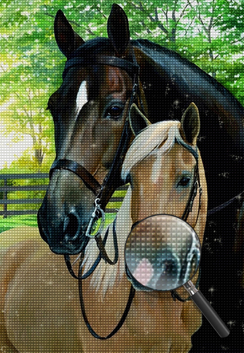 Brown Horse and Brown Foal  5D DIY Diamond Painting Kits