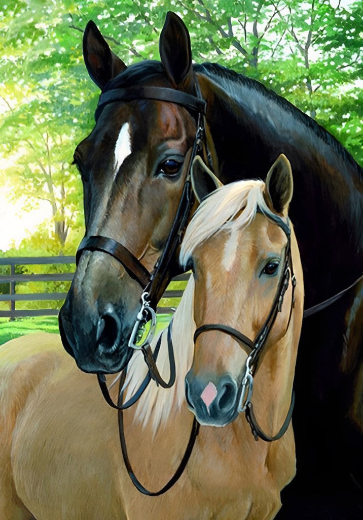 Brown Horse and Brown Foal  5D DIY Diamond Painting Kits