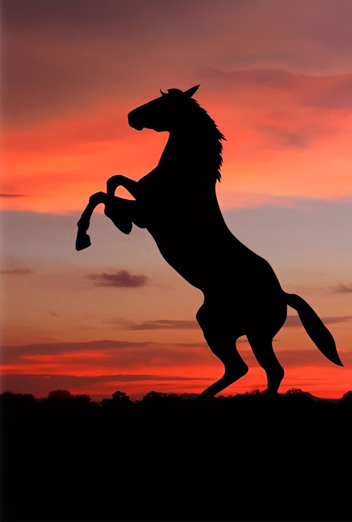 Standing Horse and Setting Sun Diamond Painting
