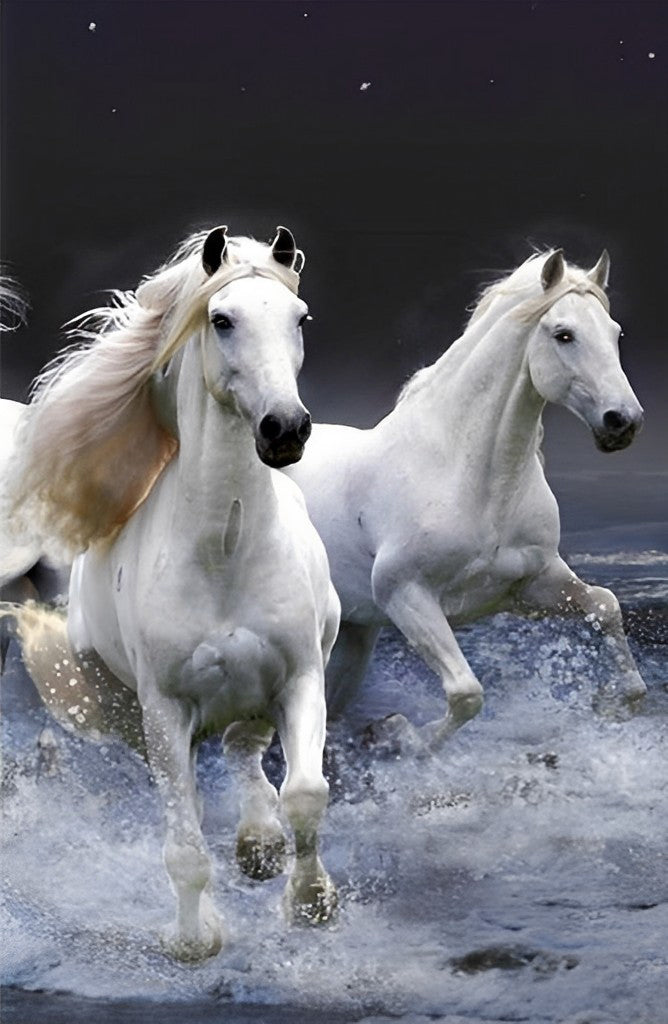 Two White Horses Running Diamond Painting