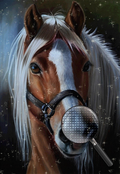 Horse on a leash 5D DIY Diamond Painting Kits