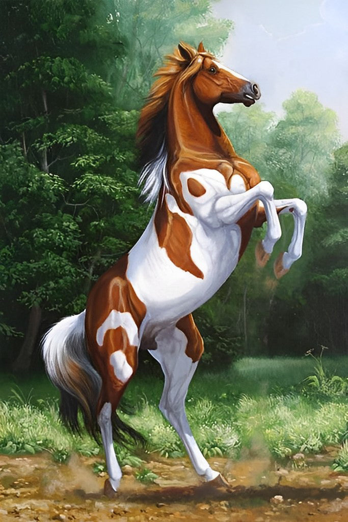 Horse Standing on Hind Legs Diamond Painting