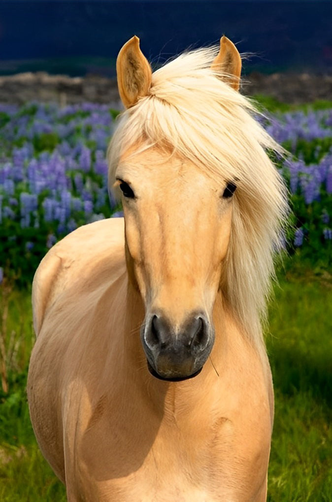 Yellow Horse with White Mane Diamond Painting