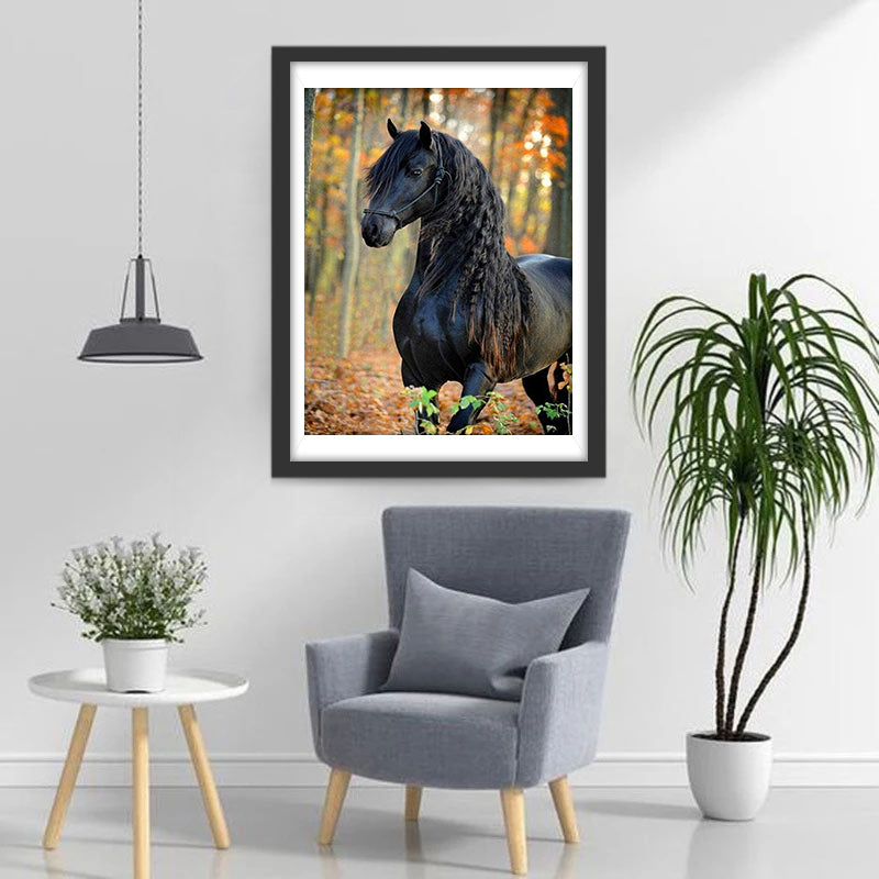 Black Horse with Braided Mane Diamond Painting