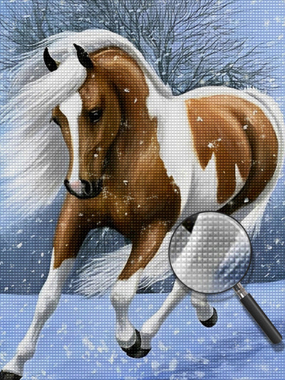 Horse with Long White Mane in the Snow Diamond Painting