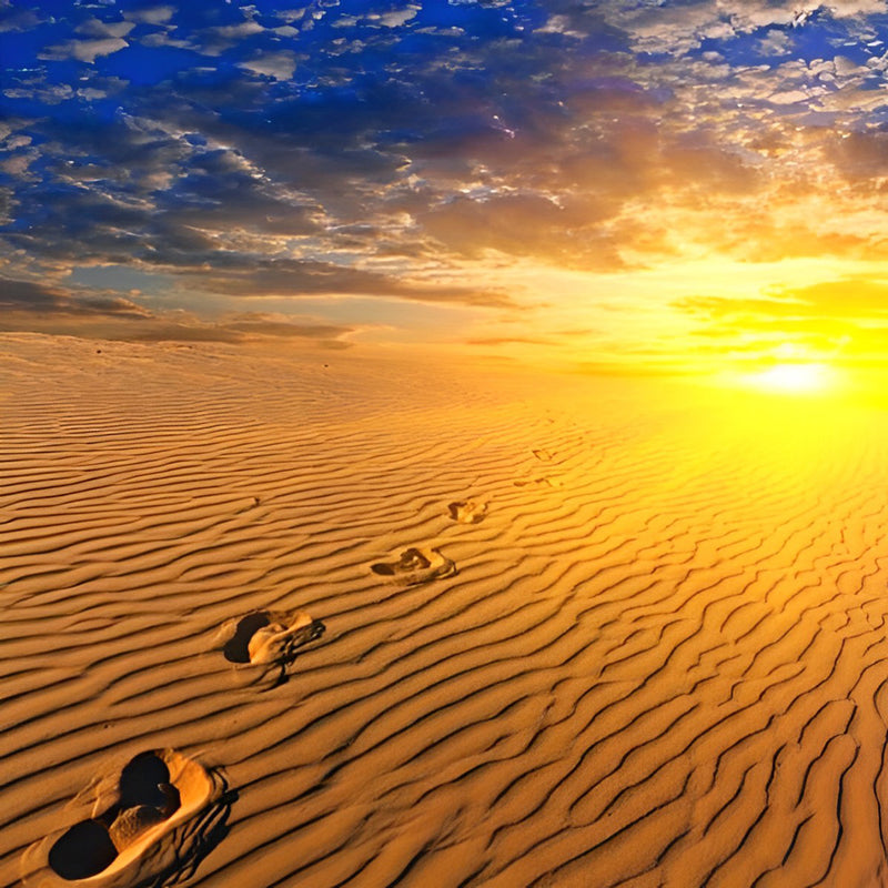 Footprint On Desert Diamond Painting