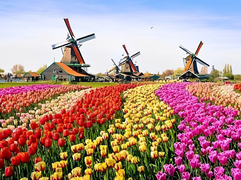 Garden of Europe Diamond Painting