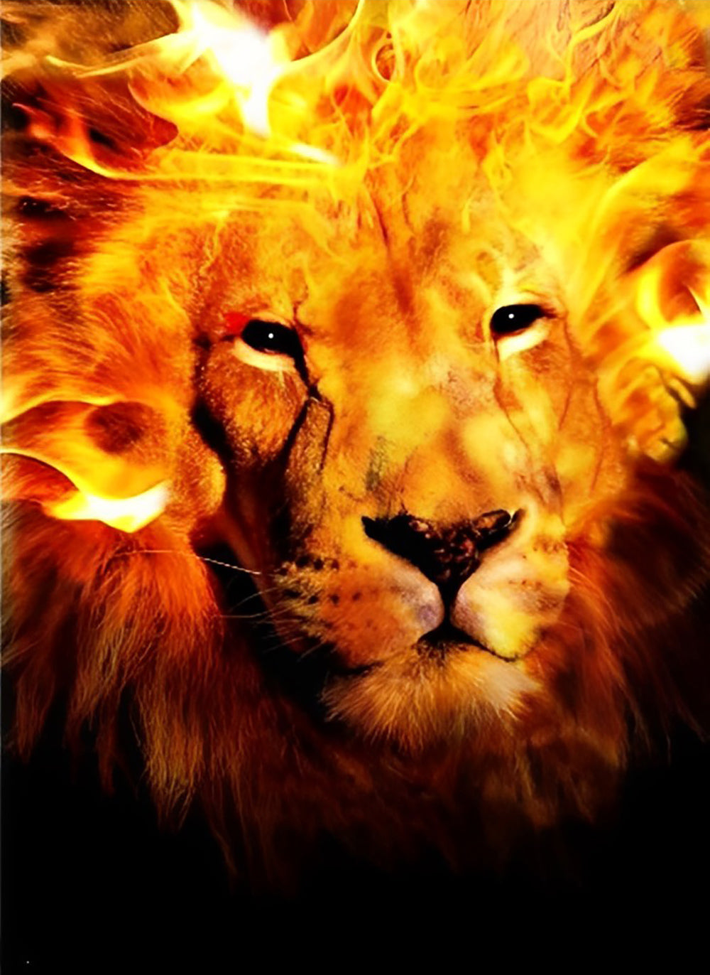 Flame Lion Diamond Painting