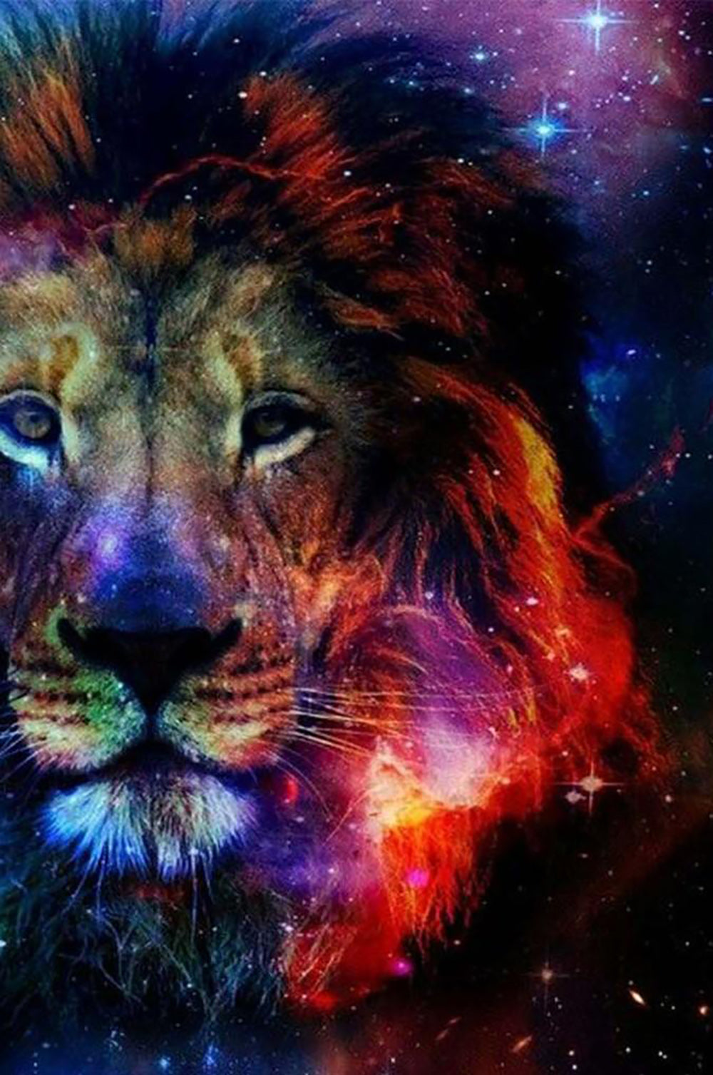 Colorful Lion and the Starry Sky Diamond Painting