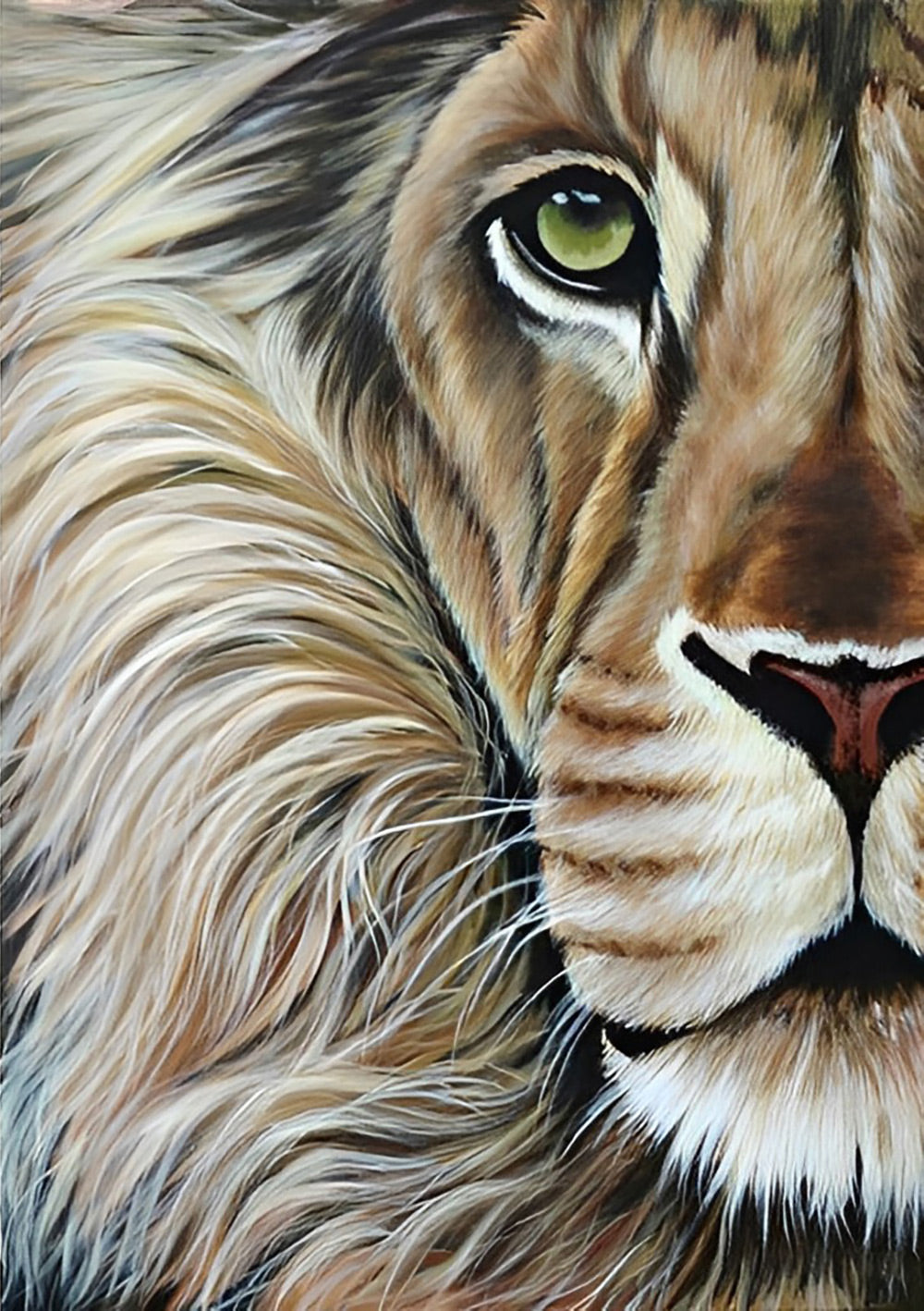 Half of the Lion's Face Diamond Painting