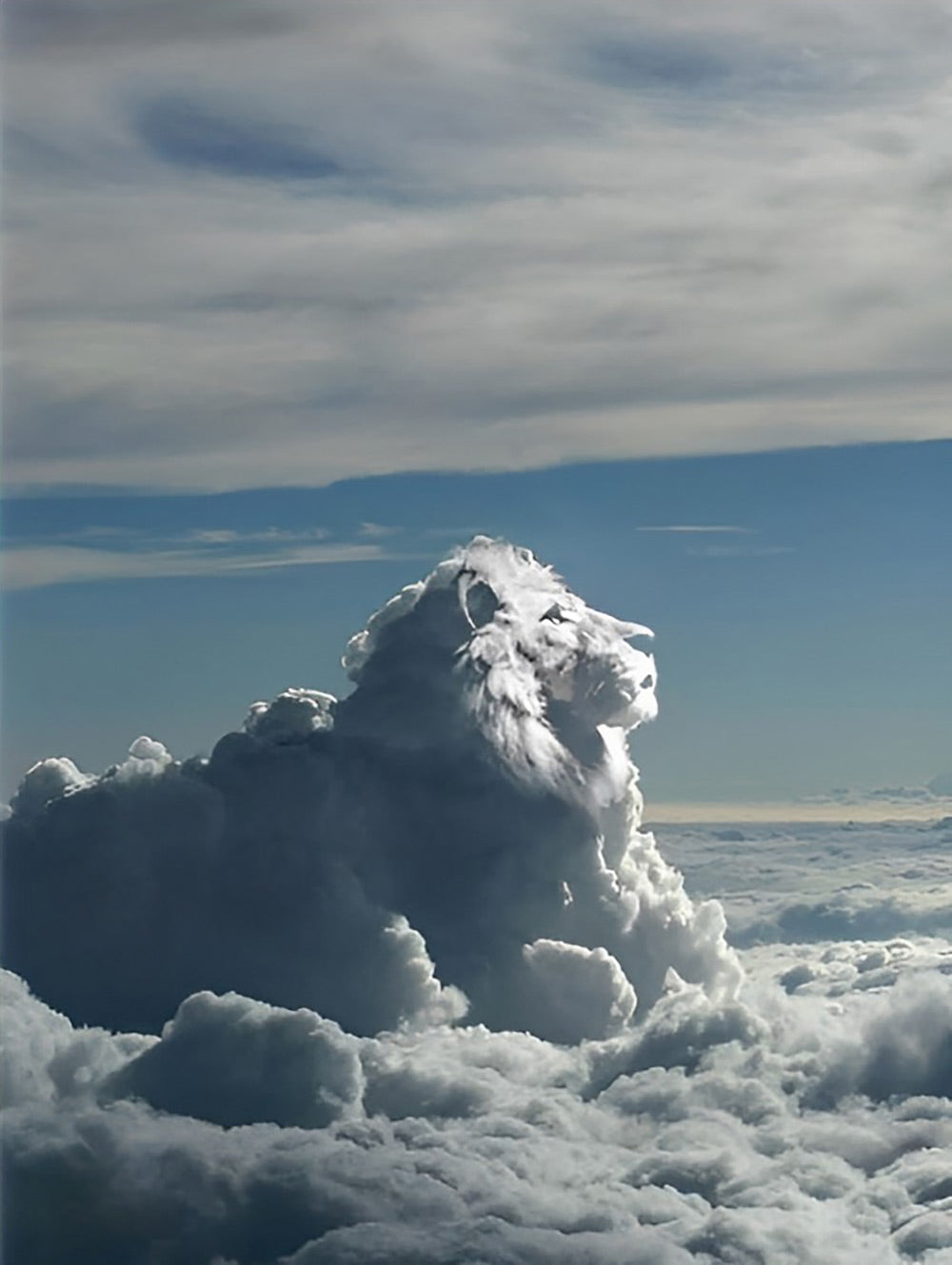 White Cloud Lion Diamond Painting