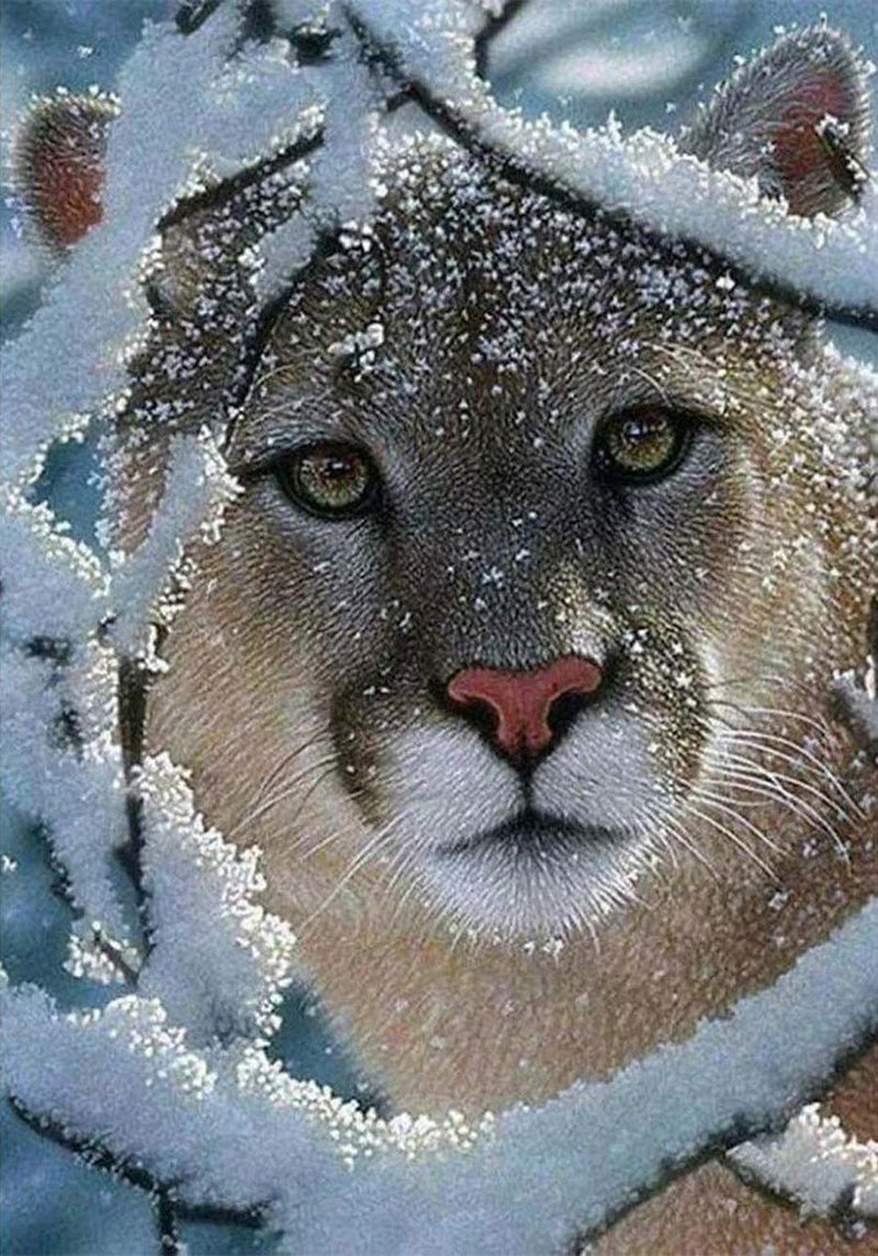 Cougar in the Snow Diamond Painting