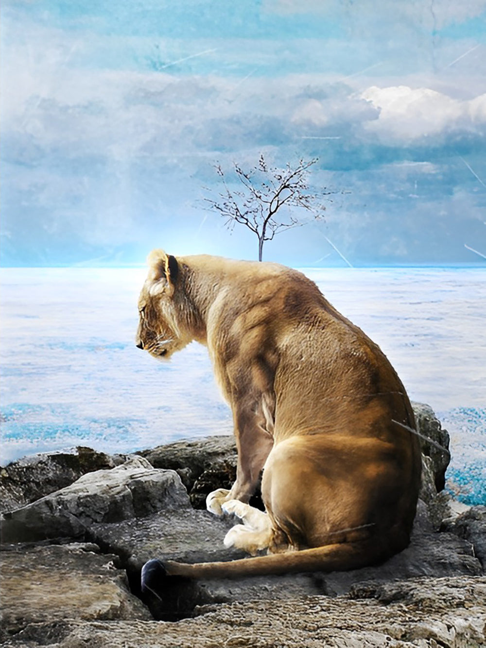 Lone Lioness Diamond Painting