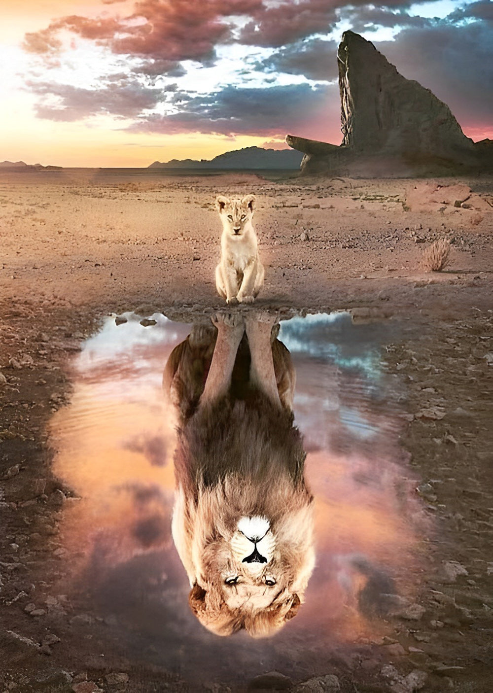 Lion Cub and Lion in the Reflection Diamond Painting