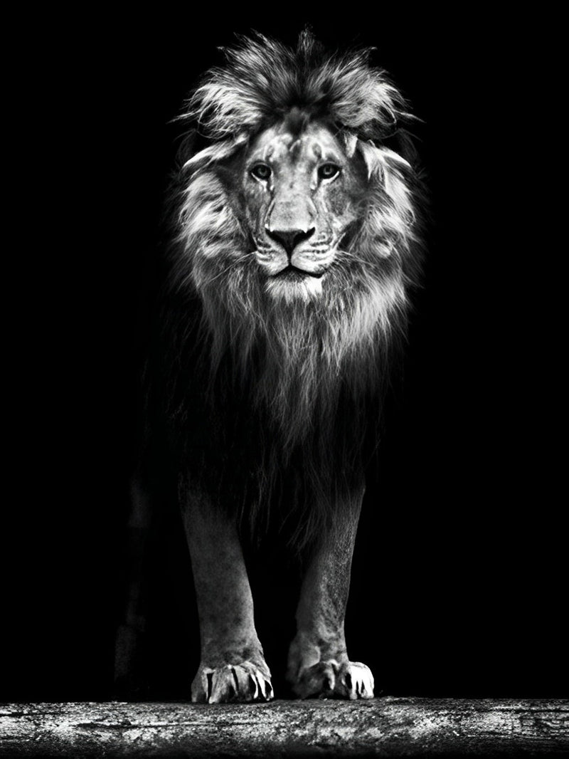 White and Black Lion Standing Diamond Painting