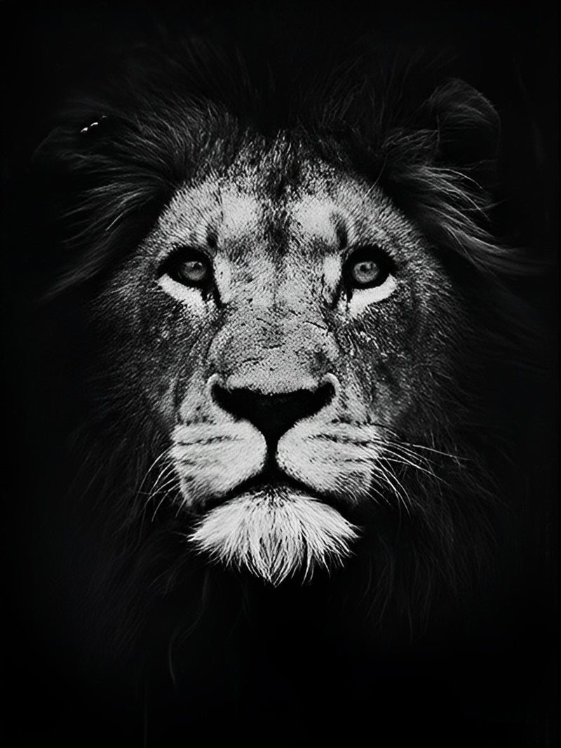 Wise Lion in White and Black 5D DIY Diamond Painting Kits
