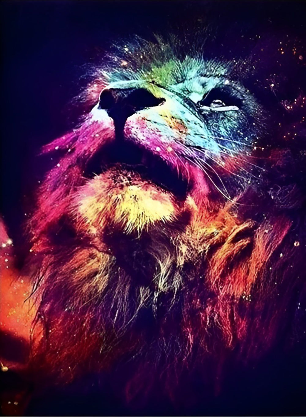 Multicolored Lion Looking Sky Diamond Painting
